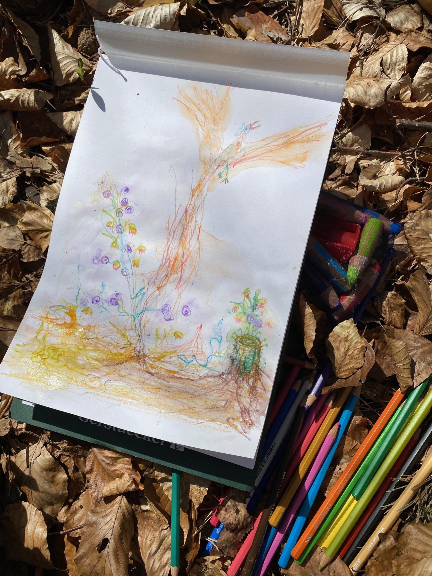 Buntes, handgezeichnetes Bild auf einem Zeichenblock im Wald, umgeben von Herbstlaub und Buntstiften. Es zeigt einen Heidelbeerstrauch, aus dem ein Phönix emporsteigt – als Sinnbild für Wandlung, stille Stärke und innere Auferstehung während einer Medizinwanderung.